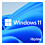 Microsoft Windows 11 Home (retail)