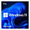 Microsoft Windows 11 Pro (retail)
