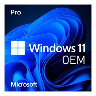 Microsoft Windows 11 Pro OEM (see conditions)