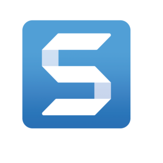 TechSmith Snagit 2024 - Single User